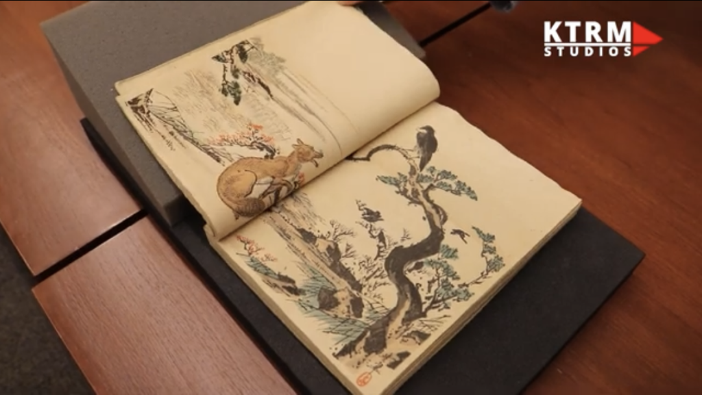 Development and History of the Book Video